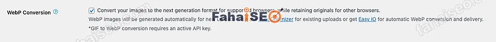 EWWW Image Optimizer插件使用教程 13 EWWW Image Optimizer插件设置:WebP Conversion