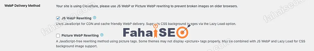 EWWW Image Optimizer插件使用教程 14 EWWW Image Optimizer插件设置:WebP Delivery Method