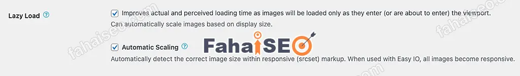 EWWW Image Optimizer插件使用教程 12 EWWW Image Optimizer插件设置:Lazy Load